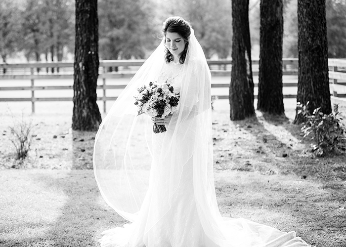 Southern Bridle Farms Wedding