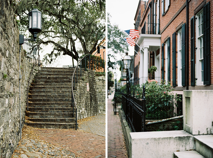 Savannah-4