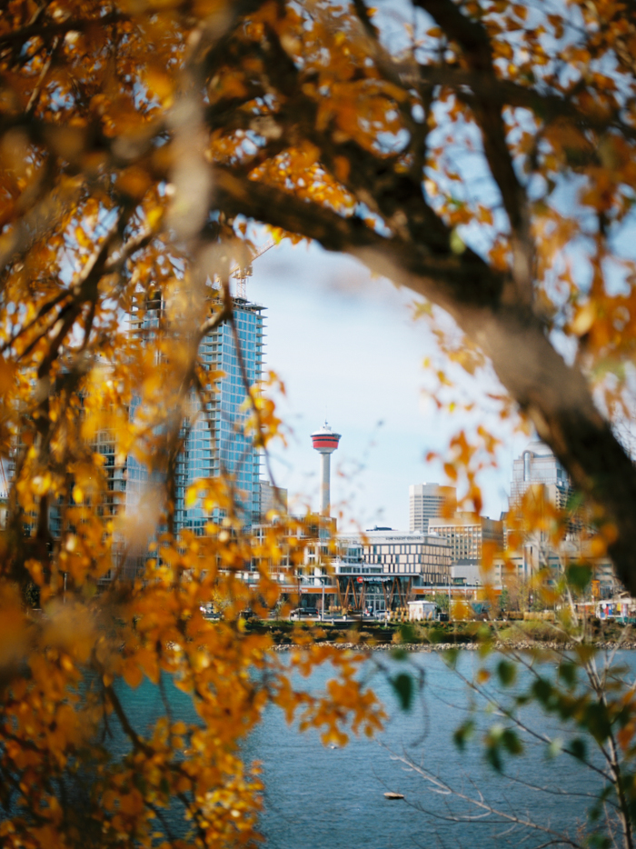 Calgary Tower